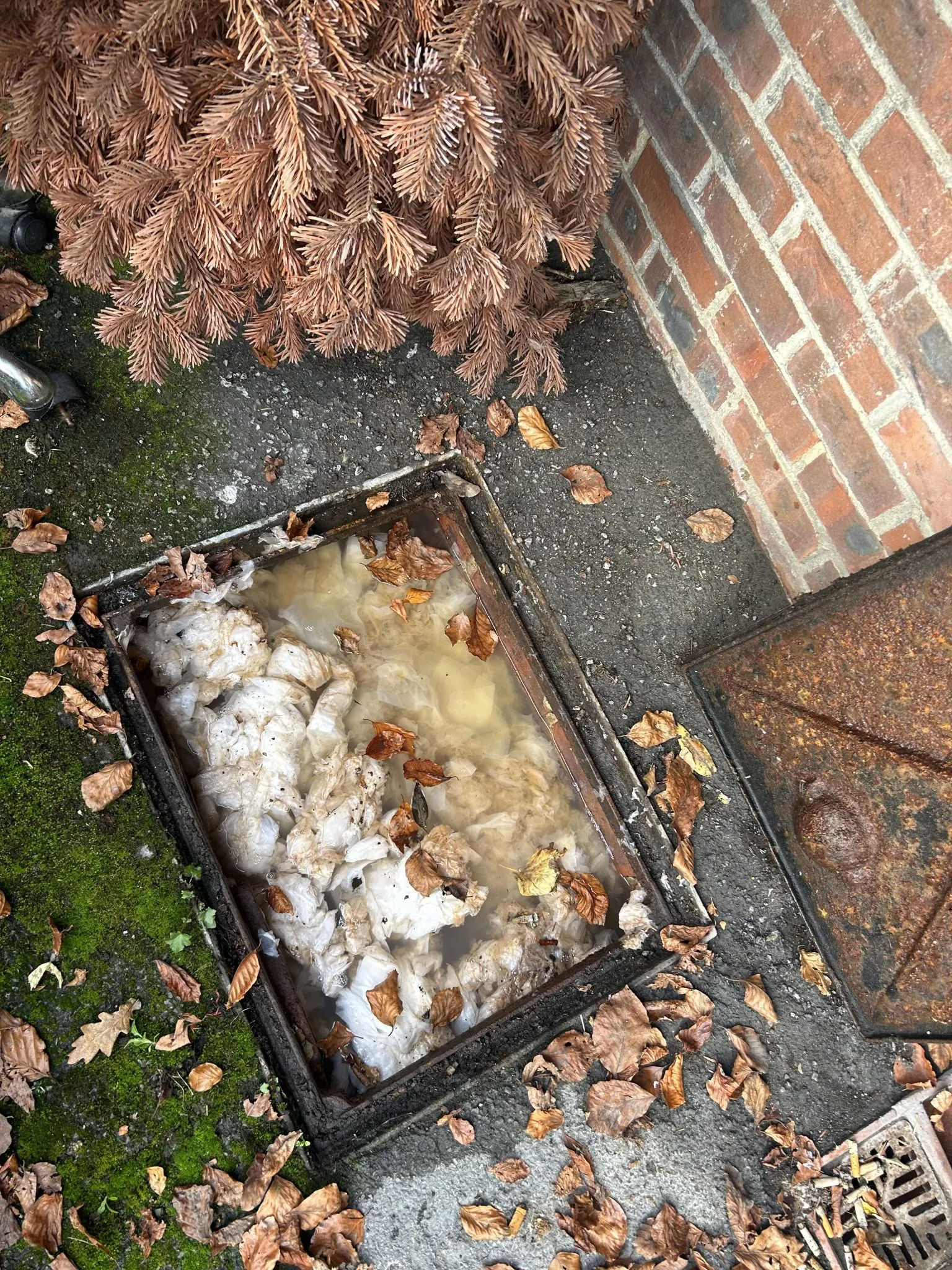 Blocked outdoor drain with wet wipes and dirty water